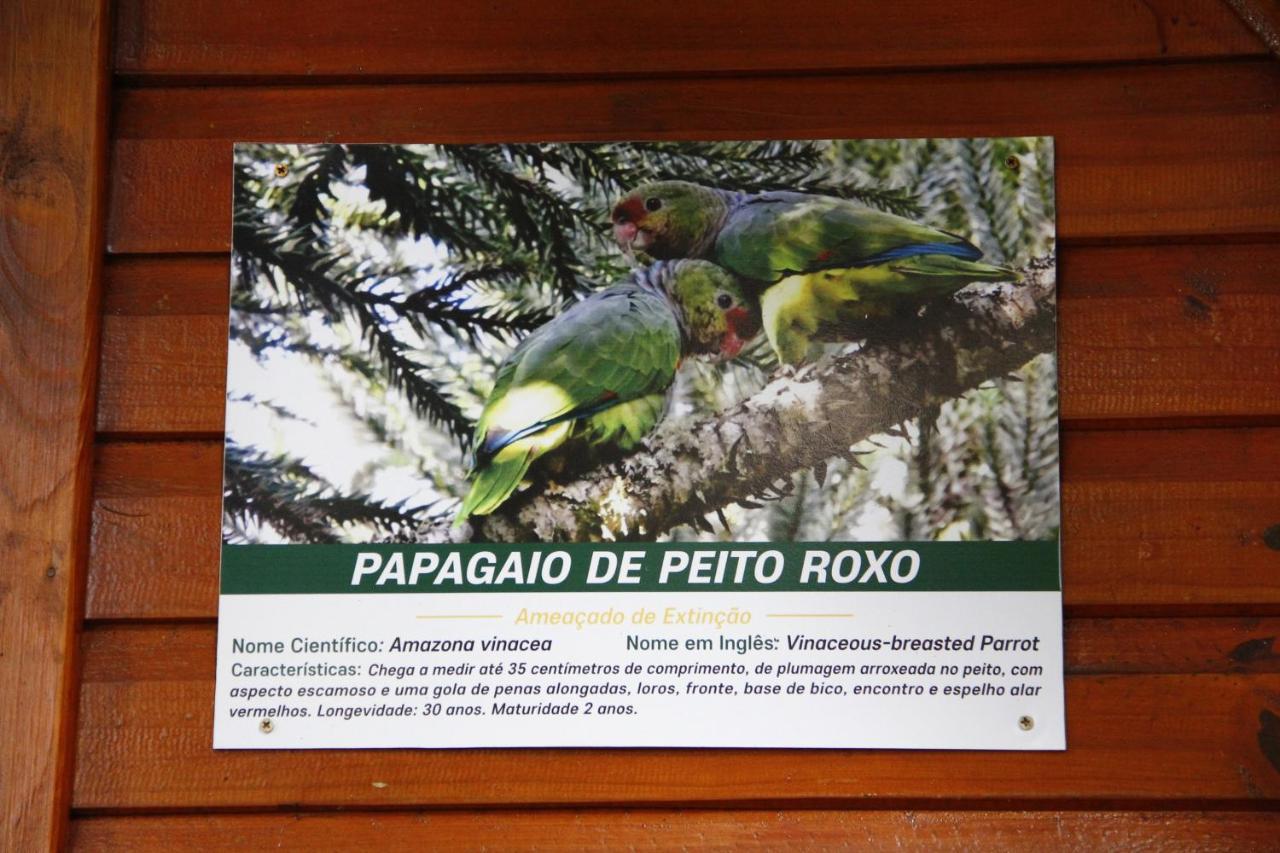 Recanto Da Mata Pousada São Francisco de Paula Kültér fotó
