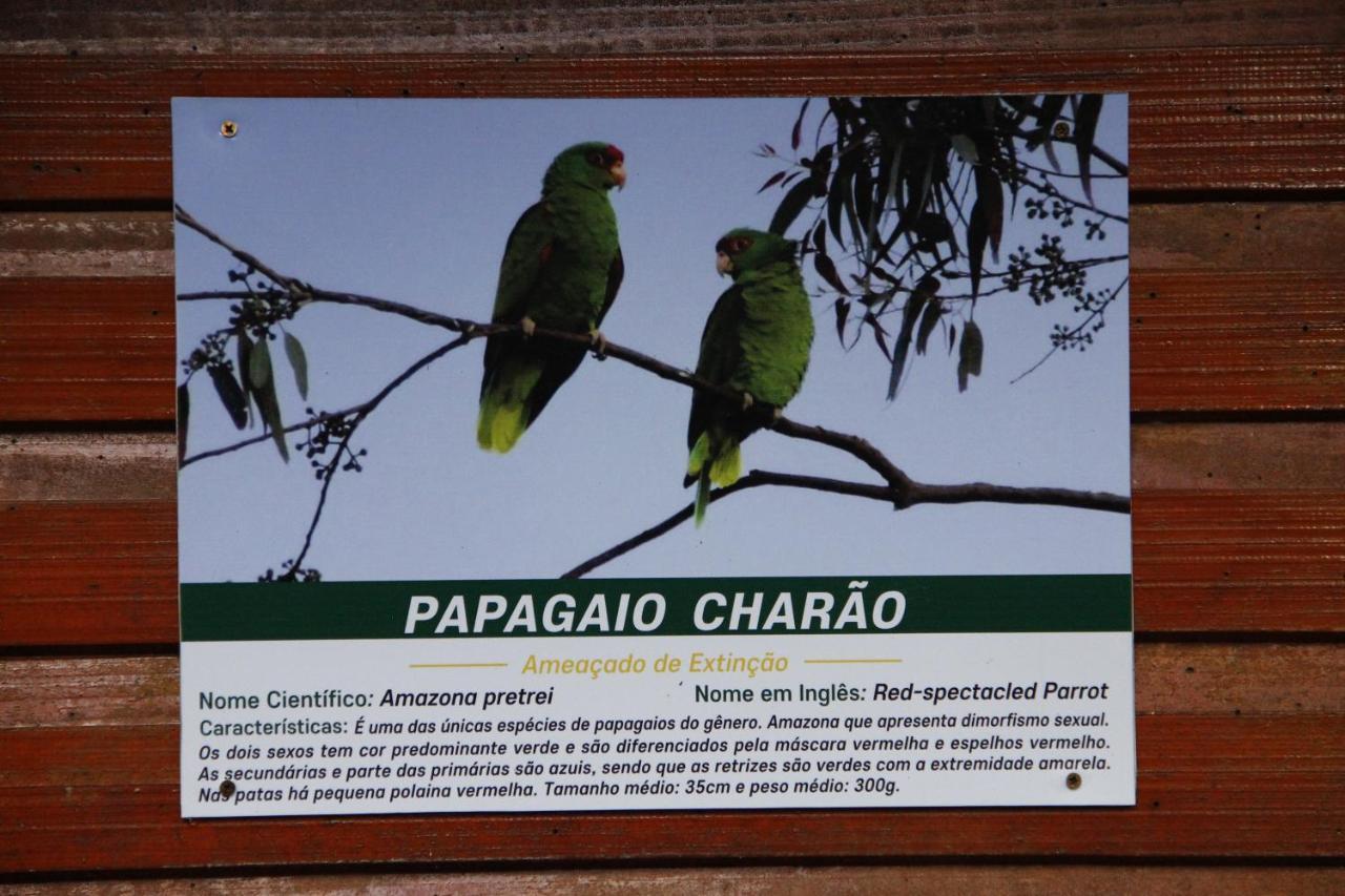 Recanto Da Mata Pousada São Francisco de Paula Kültér fotó