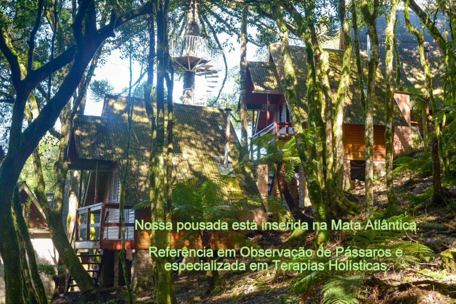 Recanto Da Mata Pousada São Francisco de Paula Kültér fotó